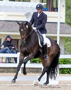 David Wightman and Silberpfeil at the 2015 U.S. Young Horse Championships :: Photo © Sue Stickle