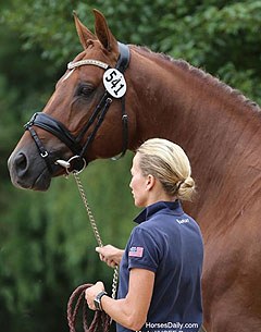 Lisa Wilcox and Gallant Reflection HU at the horse inspection for the 2015 U.S. Young Horse Championships in Wayne, ILL :: Photo © Mary Phelps