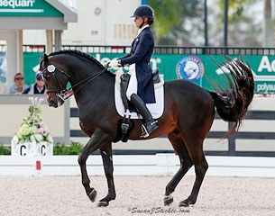 Allison Brock and Rosevelt at the 2015 CDI Wellington :: Photo © Sue Stickle