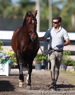 Spanish Jose Daniel Martin Dockx presents his new international Grand Prix horse Bolero CXLVIII for inspection at the 2015 CDI 3/5* in Wellington :: Photo © Astrid Appels