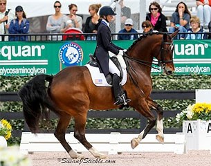 Laura Graves and Verdades at the 2015 CDIO Wellington :: Photo © Sue Stickle