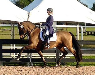 Canadian Allegra Hohm and Guadalupano in Wellington