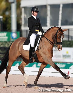 Silva Martin and Aesthete at the 2015 CDI Wellington :: Photo © Astrid Appels