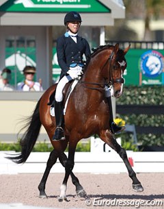 Hannah Michaels on Carol Cohen's Dutch warmblood Abacus (by Tuschinski x Mooiman)