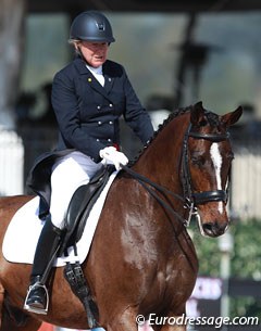 Canadian Liz Steacie on Callahan (by Cordoba x Matcho AA)