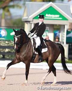 Canadian Belinda Trussell on Tattoo, competing at the 2015 CDI Wellington :: Photo © Astrid Appels