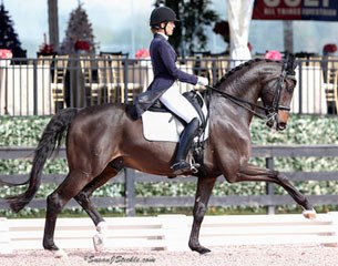 Christina Vinios on Folkestone at the 2015 U.S. Dressage Championships :: Photo © Sue Stickle