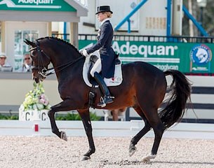 Lisa Wilcox and Pikko del Cerro HU at the 2015 CDI Wellington :: Photo © Sue Stickle