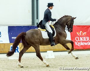Mateusz Cichon in Darlings Dream, formerly owned by Anna Kasprzak