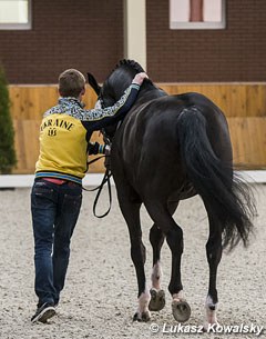 Ukrainian Maksim Kovshov and Flirt at the horse inspection