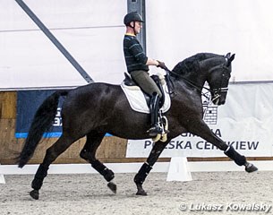 Fabrizio Sigismondi schooling Apropos