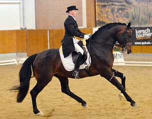 Marcus Nowotny on Solitaire Gold (by Serano Gold)