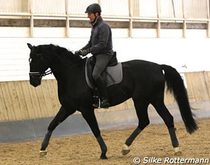 Clinician Michael Rohrmann riding with Froemning