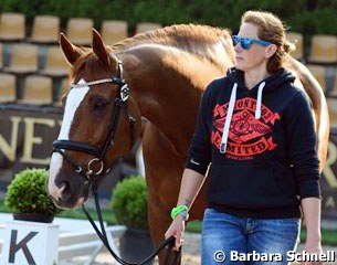 Dablino getting handwalked