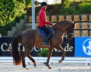 Sönke Rothenberger schooling Favourit