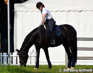 Isabell Werth's Weihegold grazing