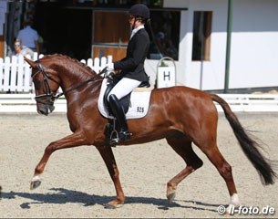 Friederike Kampmeyer on Valencia at the 2016 Bundeschampionate :: Photo © LL-foto