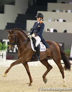 Madeleine Witte-Vrees and Cennin at the 2016 CDI-W 's Hertogenbosch :: Photo © Astrid Appels