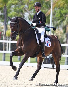 Woodstock de la Guiche at the 2016 European Young Riders Championships :: Photo © Astrid Appels