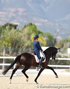 Jasmien de Koeyer rode the 7-year old Esperanza (by Desperados x Krack C), probably one of the best movers at the show. Mistakes and going off course kept them out of the medals and kur finals