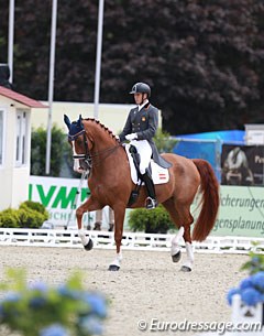 Spanish Pablo Gomez Molina on Yeguada de Ymas' Dutch bred Tarpan