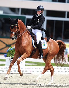 Marina Mattsson on the 14-year old Swedish bred Beckham (by Bernstein x Koncertz xx) which she took from junior to Grand Prix level