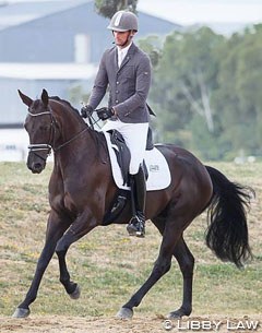 Andrew Daines and Sartorial Hit SW win the Young Horse Finals at the 2015 New Zealand Dressage Championships :: Photo © Libby Law