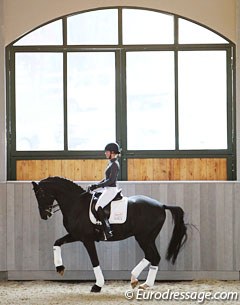 Kristina Bröring-Sprehe and Desperados make their first public appearance at the 2016 Global Dressage Forum  after winning gold and bronze at the Rio Olympics :: Photo © Astrid Appels