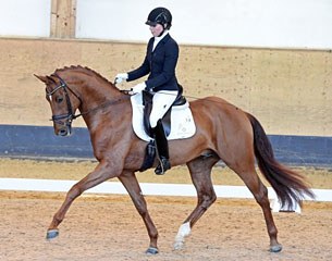 Dimitroff (by Dimaggio x Brentano II) :: Photo © Fischer