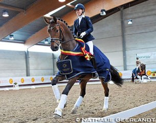 Andrea Muller-Kersten and Elizabeth Tepper's Hanoverian Belaggio win the 4-year old division at the 2016 Belgian Young Horse Championships in Gesves :: Photo © Nathalie Geerlandt