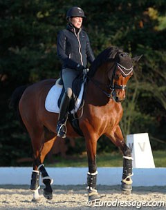 Stephanie Brieussel schooling Amorak at the 2016 CDI Hagen :: Photo © Astrid Appels