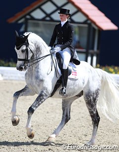 Agnete Kirk Thinggaard bought one of the most wanted upcoming Grand Prix horses, Cassio, in August 2014. The pair is still getting to know one another. Cassio gets a bit slow in piaffe, but the potential is there. The passage is top class.