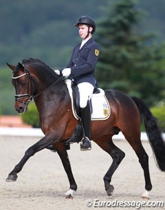 Germany's 2014 European Championship team pony De Long back in action with a new rider, Philipp Merkt
