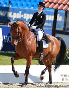 Swiss Josefine Rosen on the highly talented Holsteiner Infinio Ce (by Indigo x Corofino). The bright bay is a massive mover, but still unsettled in piaffe.