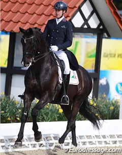 Mario van Orshaegen on his tall Dutch warmblood gelding Wilco V (by Rousseau).