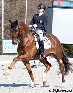 Liselot Dupont and Expression at the 2016 CDI Nieuw en St. Joosland :: Photo © Digishots