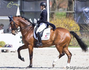 Kazuki Sado and Ziroco at the 2016 CDI Nieuw en St. Joosland