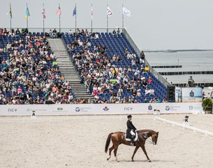 Dressage on the beach