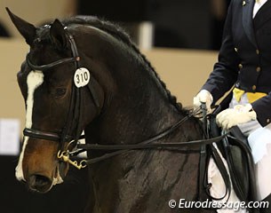 Oksana Gusarova rides Enrico in the classical 3:1 hold of reins. It used to be the norm before WW II but it is very rare in modern dressage. It is sometimes still used at the Spanish Riding School.