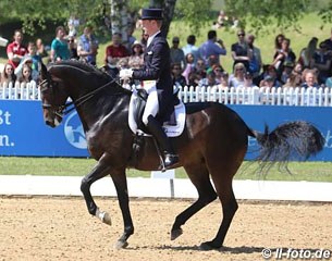 Jan Dirk Giesselmann on Haya