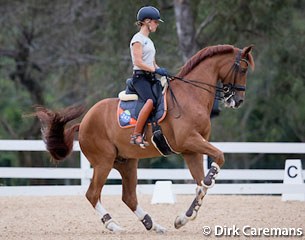 Adelinde Cornelissen on Parzival