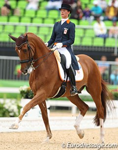 Adelinde Cornelissen on Parzival