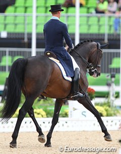 Stepping in as alternates for Nilshagen/Dante Weltino, Mads Hendeliowitz and Jimmie Choo made it to the Special. The bridle contact needs to improve significantly but the Sandro Hit is willing and lightfooted in his work