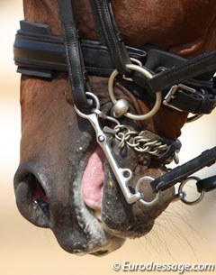 Crank noseband :: Photo © Astrid Appels