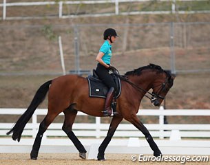 Lyndal Oatley on Sandro Boy