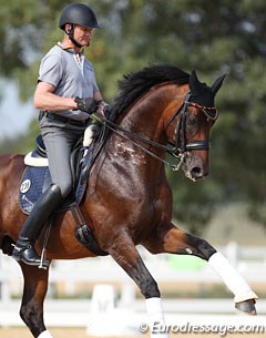 Hubertus Schmidt and Imperio training at the 2016 Olympic Games :: Photo © Astrid Appels