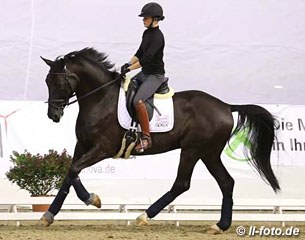 Kristina Sprehe schooling her new rising star, the 5-year old Destino (by Desperados x Fidermark x Damenstolz). Bred by Joachim Meeser, Destino was acquired by the Sprehe family one year ago