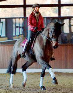 Anabel Balkenhol training Crystal Friendship at home in Rosendahl :: Photo © Barbara Schnell