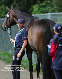 Steffen Peters and Legolas at the horse inspection for the 2016 CDIO Rotterdam :: Photo © Mary Phelps