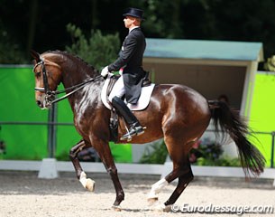 Steffen Peters and Rosamunde